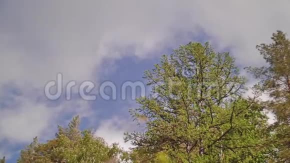 奔云和一树逆天奇异的山景视频的预览图