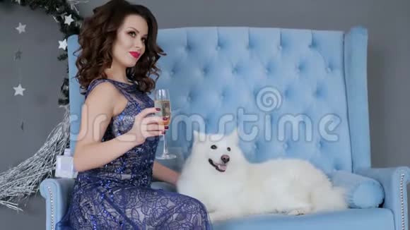 新年照片会议与宠物女孩穿着优雅的衣服香槟酒玻璃坐在沙发上视频的预览图