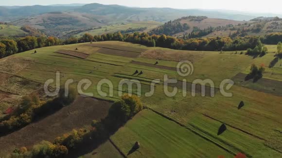 飞越喀尔巴阡山脉一片美丽的田野乌克兰视频的预览图