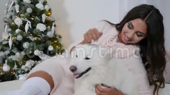 留着长发的女孩在新年树的背景下和白狗在地板上玩得很开心视频的预览图