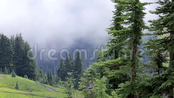 连绵的白雾笼罩着山地草地视频的预览图