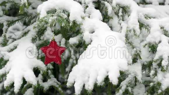 圣诞星飘落在杉树上的雪视频的预览图