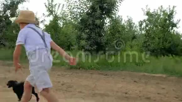 小男孩和小狗在苹果花园里跑来跑去慢动作视频的预览图