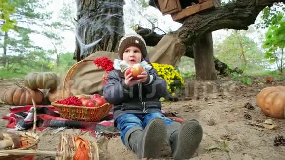 小男孩在森林里吃苹果孩子坐在野餐封面万圣节准备秋天的假期视频的预览图