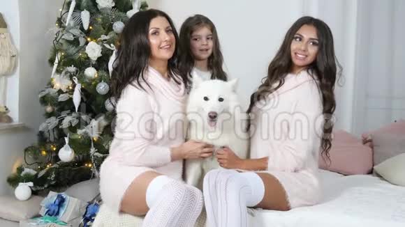 圣诞节一家人母亲带着女儿和狗坐在沙发上在镜头前拍照视频的预览图