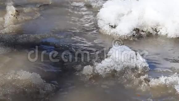 春天泥泞的溪流从融雪中流过视频的预览图