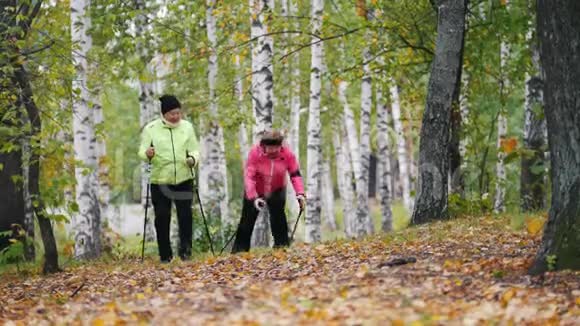 在斯堪的纳维亚人散步时成熟的女人互相抛树叶视频的预览图