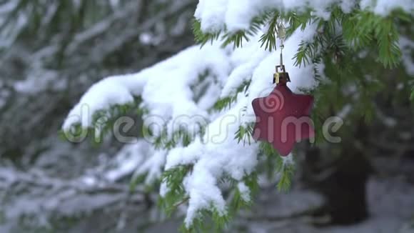 圣诞星形状的装饰在雪杉树上摇摆视频的预览图
