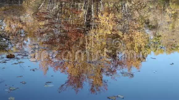 池塘倒影和蓝天视频的预览图