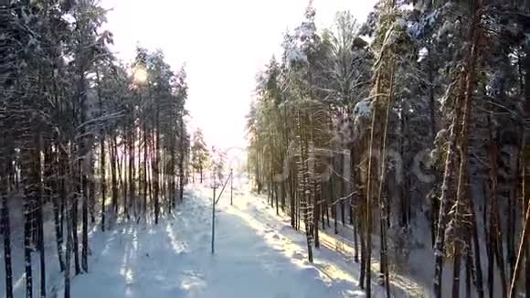 为了电力线路穿越森林降雪时日落的鸟瞰图公路穿过冬季森林和田野冷冻冷藏视频的预览图