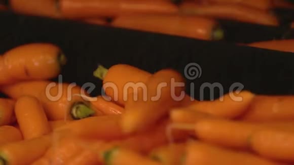 在机器上清洗胡萝卜视频的预览图