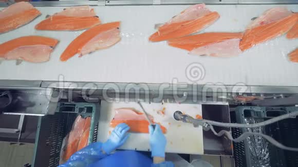 鳟鱼的鱼片在顶部被切割和加工视频的预览图