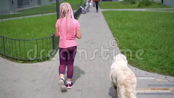 现代城市的宠物生活女孩带着狗在城市里散步视频的预览图
