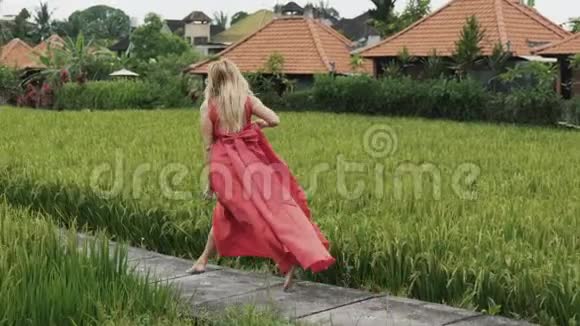 一个穿着红色长裙穿着丝绸飞裙的金发女郎穿过稻田从后面看慢镜头视频的预览图