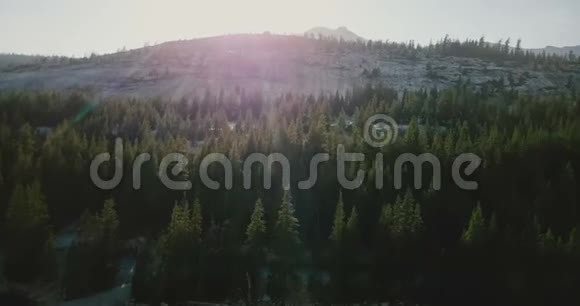 在阳光明媚的约塞米蒂公园无人机在惊人的松林上空飞向美丽的山脊天际线镜头闪烁视频的预览图