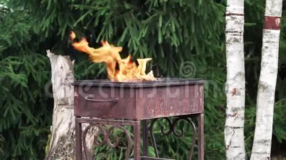 火在生锈的铁烤架上燃烧视频的预览图