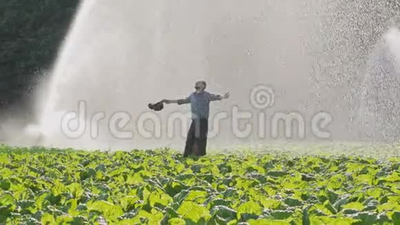 在种植园的灌溉过程中快乐而疲惫的农夫举起了双手视频的预览图