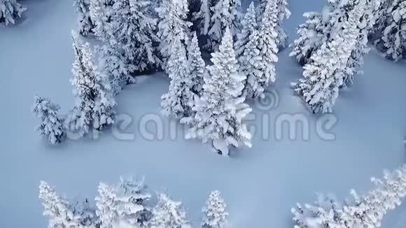 在贝加尔湖山脉的高山山脉和冬季森林上的钻探镜头这是一个高山通道视频的预览图
