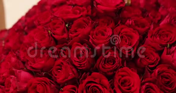 性感的女人带着巨大的红色玫瑰花束用玫瑰花蕾抚摸自己视频的预览图