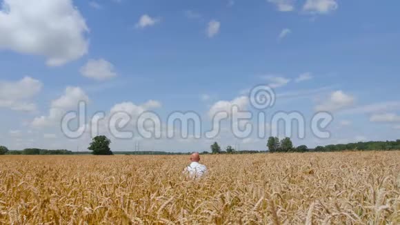 一个人坐下来在背景多云的天空上在麦田里摸着一只麦穗概念生态清洁空气视频的预览图