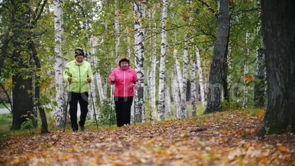 在斯堪的纳维亚散步时成熟的女人在秋天的公园里散步慢动作视频的预览图