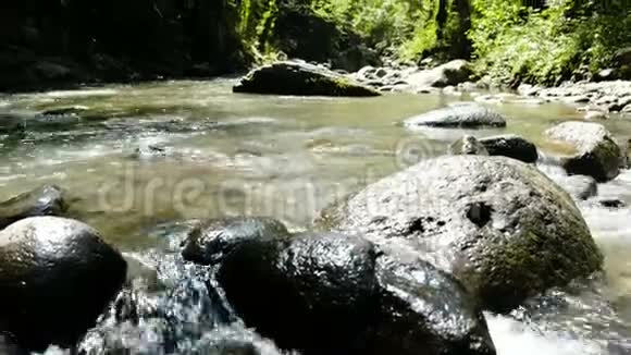 穿着泳衣的年轻女子坐在石头上在一条冰冷的山河里泼水视频的预览图