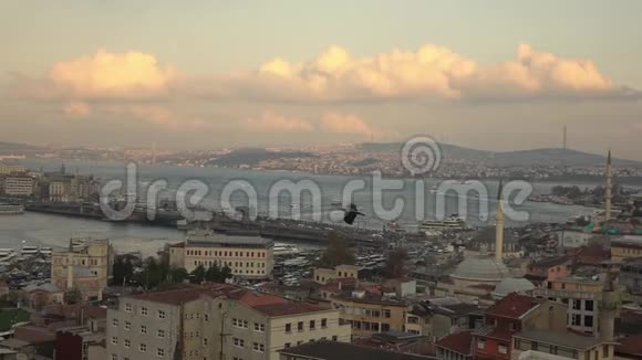 全景游览伊斯坦布尔老城区有博斯普鲁斯海峡加拉塔桥有旅游船木板和飞鸟视频的预览图
