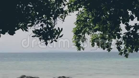 热带度假天堂岛泰国平房度假村阳光下有海沙滩视频的预览图