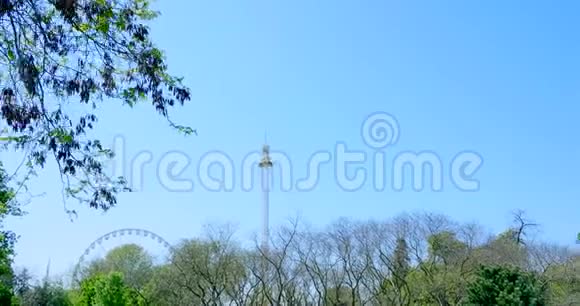 从树上看到公园里的景色视频的预览图