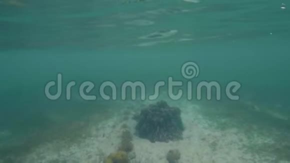 水线观蓝海水沙底珊瑚及多云天空景观水下海景海底游泳视频的预览图