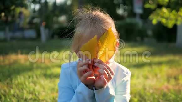 可爱的小女孩躲在黄色的叶子上秋画像微笑的孩子藏着她的眼睛黄叶视频的预览图