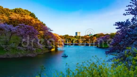东京樱花池塘日落时分春景大镜头放大视频的预览图
