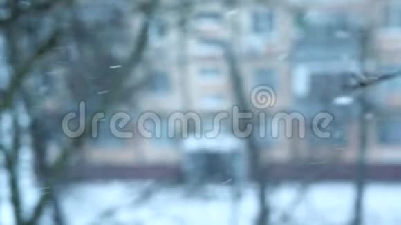 冬天从窗口到街道的景色降雪集中注意力飞雪花视频的预览图