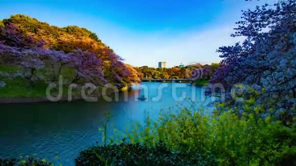 东京樱花池池池的日落时间春季大倾斜视频的预览图