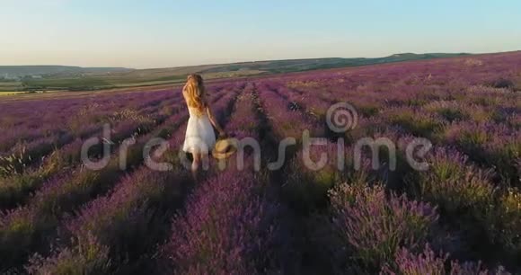 美丽的女孩穿着白色连衣裙手里拿着草帽走在一片薰衣草的田野上空中射击视频的预览图