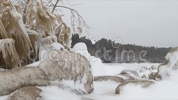 俄罗斯奥布水库冬季暴风雪中河岸上的冰石和树枝视频的预览图