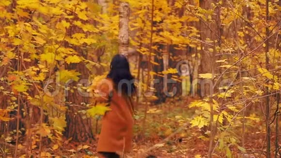 秋天公园里一个微笑的年轻女子手里拿着枫叶把它们扔了起来视频的预览图