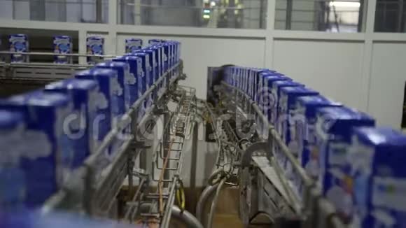 输送机与牛奶四元包装乳制品装瓶厂奶制品在传送带上移动视频的预览图