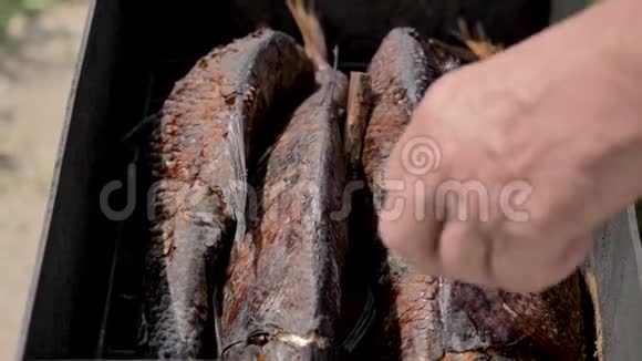 一个人从烟屋里出来准备吃鱼特写镜头夏季视频的预览图