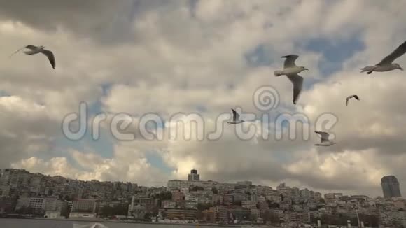 在夏日多云的天空中飞翔的海鸥俯瞰伊斯坦布尔河岸慢动作视频的预览图