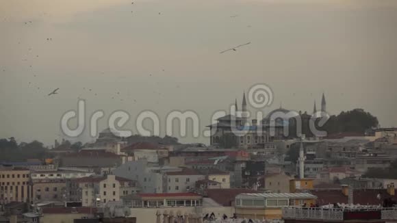 土耳其伊斯坦布尔在多云的天空背景下古老清真寺和历史建筑上方的浮鸟慢动作视频的预览图