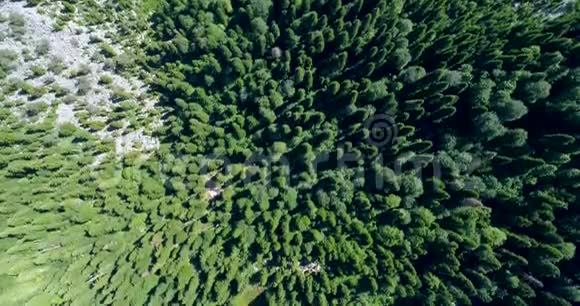 从山顶俯瞰美丽的松林可以看到马来亚里萨阿布哈兹蓝山湖的全景视频的预览图