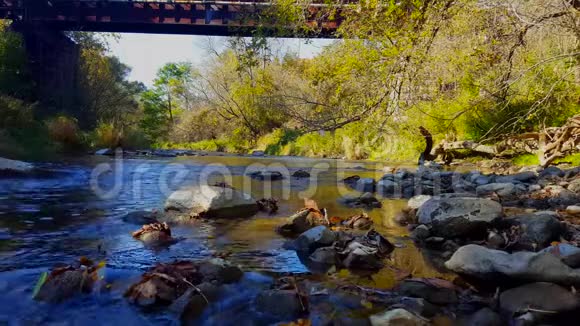 美丽平静的河流被森林环绕鱼在背景中游动和飞溅桥下流动的河流视频的预览图