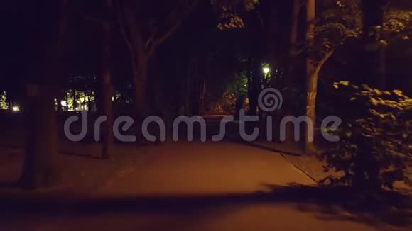 晚上沿着夏日公园小巷散步视频的预览图