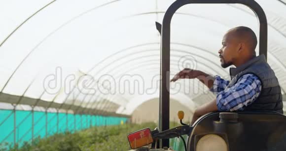 蓝莓农场4k的人坐在拖拉机和屏蔽眼睛视频的预览图