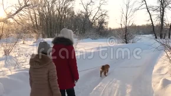 孩子们在冬天和一只狗在公园里旅行两个女孩和狗在冬天公园的小路上散步视频的预览图