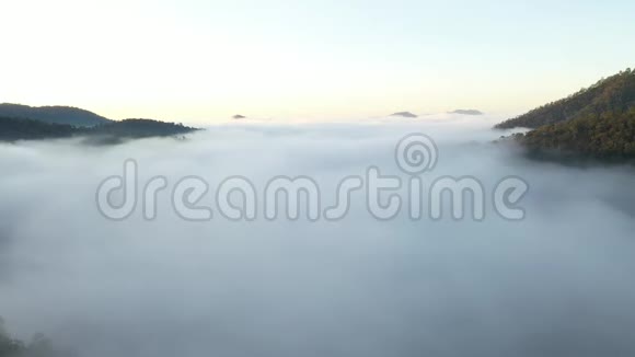 飞过雾山视频的预览图