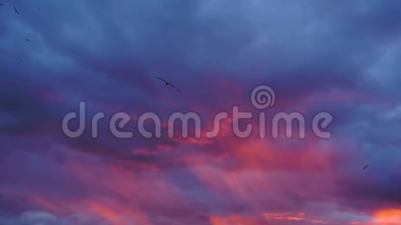 深蓝紫色和红色的风暴天空背景在日落与惊人的活力云形成4k视频的预览图