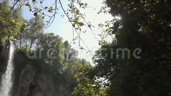 在阳光下的绿色植物中的瀑布视频的预览图