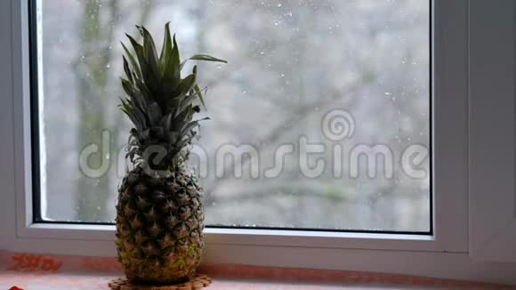 菠萝在窗户附近的窗台上花费4K视频视频的预览图